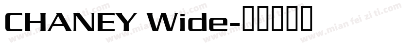 CHANEY Wide字体转换